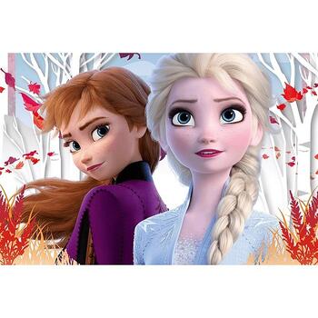 TREFL FROZEN Пазл Холодное сердце 2 60 шт. (17333T)