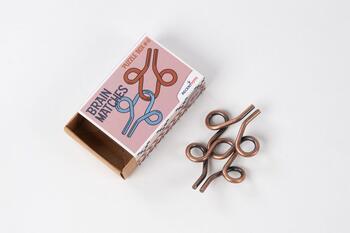 RECENT TOYS Loģikas spēle Brain Matches (RT5188)