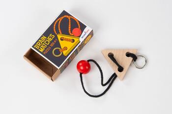 RECENT TOYS Loģikas spēle Brain Matches (RT5188)