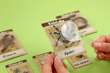 4M Creepy Crawly rakšanas komplekts (00-03397)