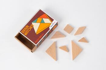 RECENT TOYS Loģikas spēle Brain Matches (RT5188)