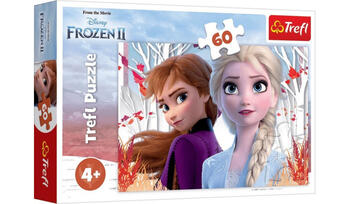 TREFL FROZEN Пазл Холодное сердце 2 60 шт. (17333T)