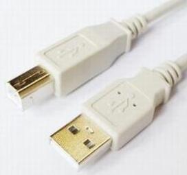 Kabelis Brackton USB Male - USB Male B 1.8m White (US2-ABB-0180.L)