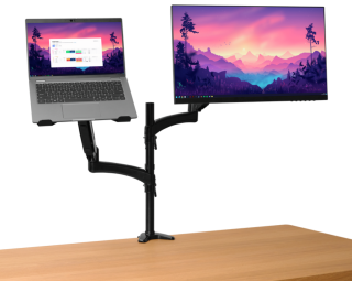 Stativs monitoram Trust Mara Monitor & Laptop Arm (25337)