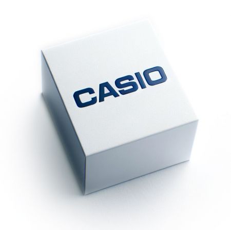 CASIO Vīriešu rokas pulkstenis MTP-1384D-2A (ZD108D) + BOX silver/blue