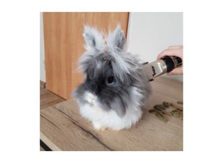 Машинка для стрижки шерсти животных (LUX-24089m)