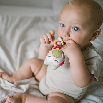 Погремушка с прорезывателем BabyOno 1588