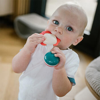 Погремушка с прорезывателем BabyOno 1590