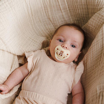 Пустышки Babyono анатомической формы 0-6 мес. (2 шт.) 1670/01