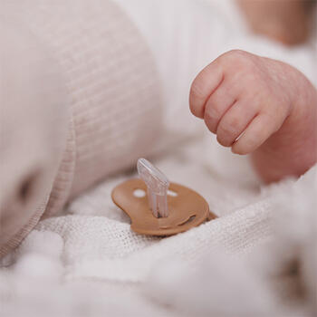 Пустышки Babyono анатомической формы 0-6 мес. (2 шт.) 1670/01