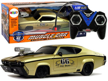 Sporta automašīna ar RC pulti 91176 (RC)