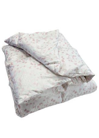 Spalvu sega Comfort Pluss tea rose