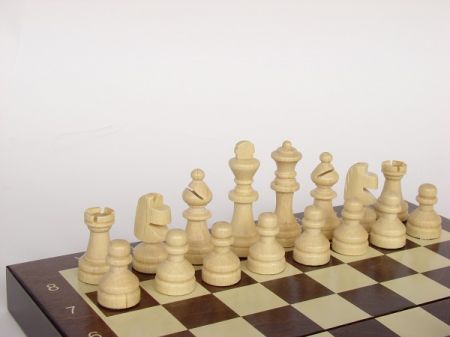 Шахматы Chess Magnetic Nr.140M Small