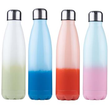 Alpina Termoss 470ml (8711252240183)