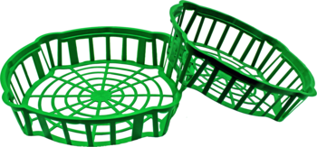 FORM PLASTIC Grozs sīpolu audzēšanai ovāls 30cm (5907474318257)