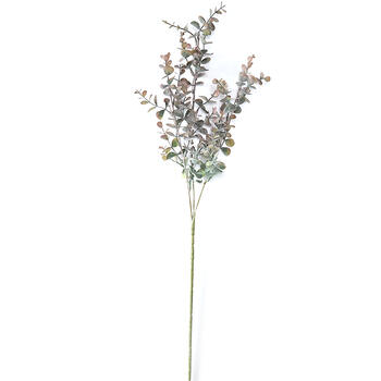 ArtFlow Mākslīgā Eikalipta zars 64cm, 2veidi (4750959110188)