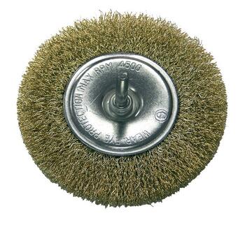 PROLINE Birste D6x100mm diskveida (5903755328304)