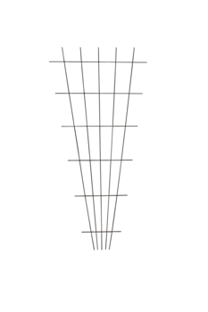 BESK Atbalsts puķēm 150x75cm (4750959039519)