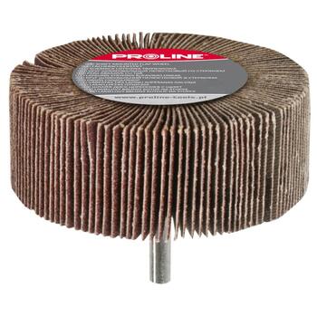 PROLINE Slīpēšanas disks 60x30mm ar asi 6mm A40 (5903755448316)
