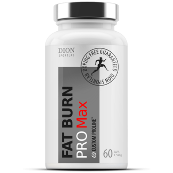 FAT BURN MAX 60 капсул