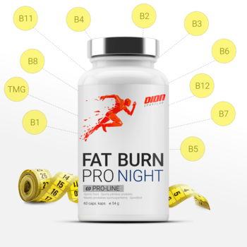 FAT BURN Night 60 капсул