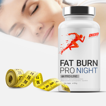 FAT BURN Night 60 капсул