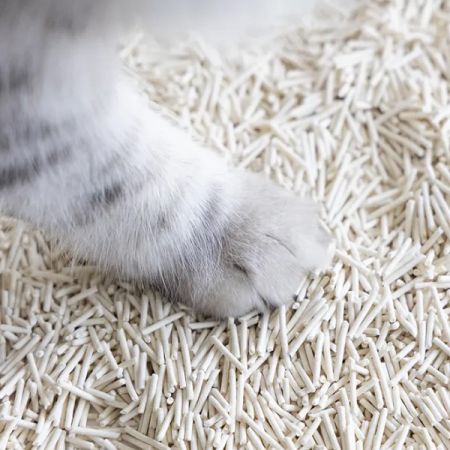 UNIQ PETS CAT LITTER TOFU biodegradable natural - комкающийся натуральный гранулированный наполнитель для кошачьего туалета без запаха 5 кг / 12 л (5906893243379)