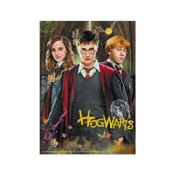 Attīstošā puzle Medium-S Harry Potter Harry and friends 250 pcs (ETC200498)