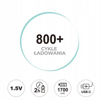 Liibattaries Мощные аккумуляторные батареи Lithium-Ion с USB-C AA 1700мАч 1.5V (4шт) (LIB667097)