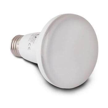LED bulb E27 R80 LED, 10W, warm white (T_0011419)
