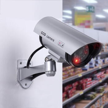 Riff RF-IR1 CCTV IR Муляж уличной домашней камеры безопасности с мигающей сигнальной лампой 2x AA батарейки Белый (RF-IR1)