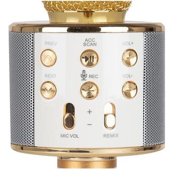 Riff WS-858 Караоке-Микрофон с динамиком AUX и Micro SD Gold (RF-WS-858-GOLD)