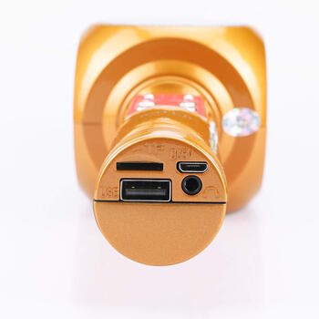 Riff WS-1816 16W Караоке BT микрофон с LED 360 Gold (WS-1816/GO)