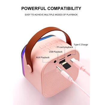 Riff K12 Портативная BT караоке система с 2 Wireless микрофонами Pink (RF-K12/PI)
