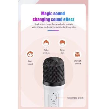 Riff YS110 BT 5.3 Portatīvā karaoke sitēma ar 2 Wireless mikrofoniem White (RF-YS110)