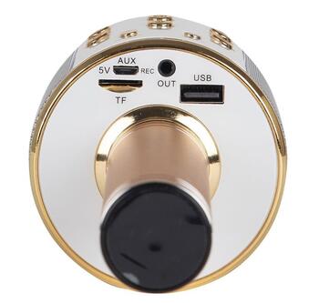 Riff WS-858 Караоке-Микрофон с динамиком AUX и Micro SD Gold (RF-WS-858-GOLD)