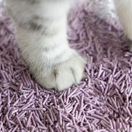 UNIQ PETS CAT LITTER TOFU biodegradable Lavender - комкающийся, гранулированный наполнитель для кошачьего туалета с ароматом лаванды 5 кг / 12 л (5906893243393)