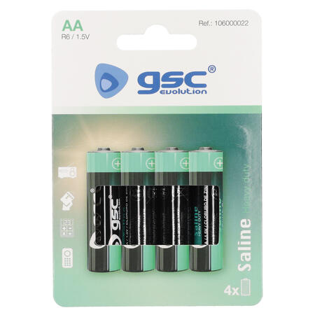 Батарейки GSC evolution Heavy Duty R6 (AA), 4 шт./блистер, 106000022 (106000022)