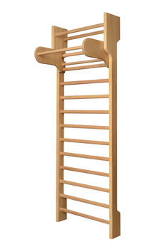 Vingrošanas siena Meduskoks 235x80x16/25 cm (GTZ004)