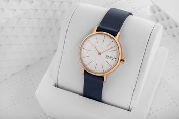 SKAGEN Signatur Sieviešu pulkstenis SKW2838 (SKW2838)
