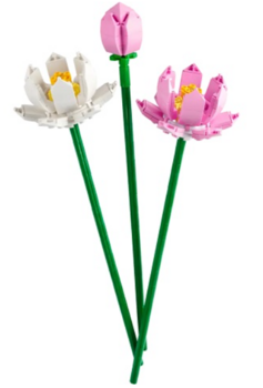 LEGO 40647 Lotus Flowers Konstruktors (40647)