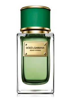 Dolce & Gabbana Velvet Cypress Parfimērijas ūdens EDP 150 ml (730870225509)