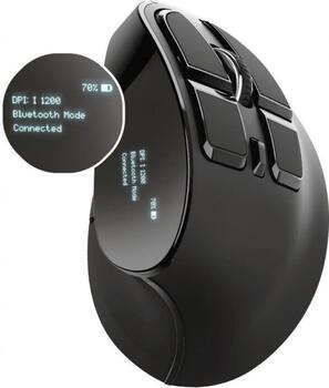 Trust Voxx Ergonomic Мышь (23731)