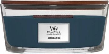 WoodWick Antiquarium Elipsa Aromātiskā svece 453,6 g (5038581162409)
