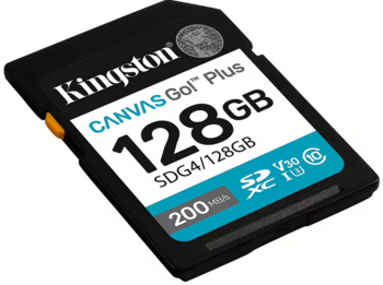 Kingston Canvas Go SDXC Карта Памяти 128GB (SDG4/128GB)