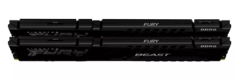 Kingston Technology FURY Beast DDR5 Оперативная память 32GB (KF556C36BBEK2-32)