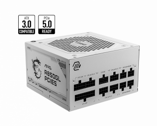 MSI MAG A850GL PCIE5 Barošanas bloks 850W (306-7ZP8A24-CE0)