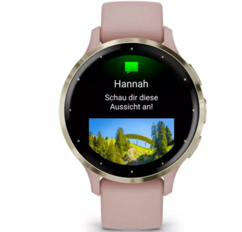 Garmin Venu 3S Смарт-часы 41mm (010-02785-03)