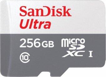 Sandisk Memory MicroSDXC 256GB Atmiņas karte (SDSQUNR-256G-GN3MN)