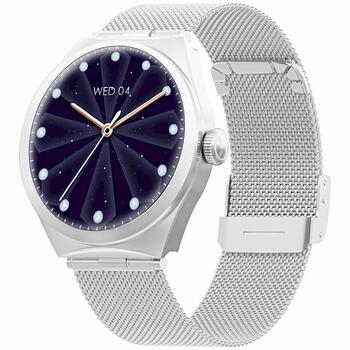 Smartwatch Gravity GT25-7 Смарт-часы / серебристый (GT25-7)